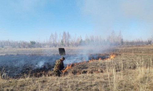 ەلوردانىڭ جاسىل بەلدەۋى اۋماعىندا ورتكە قارسى ءىس-شارالار وتەدى
