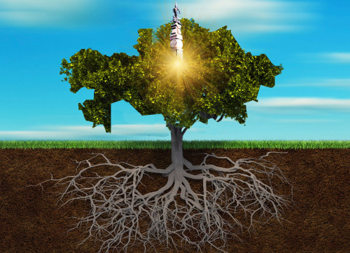 الاش ۇراندى ەل بولايىق