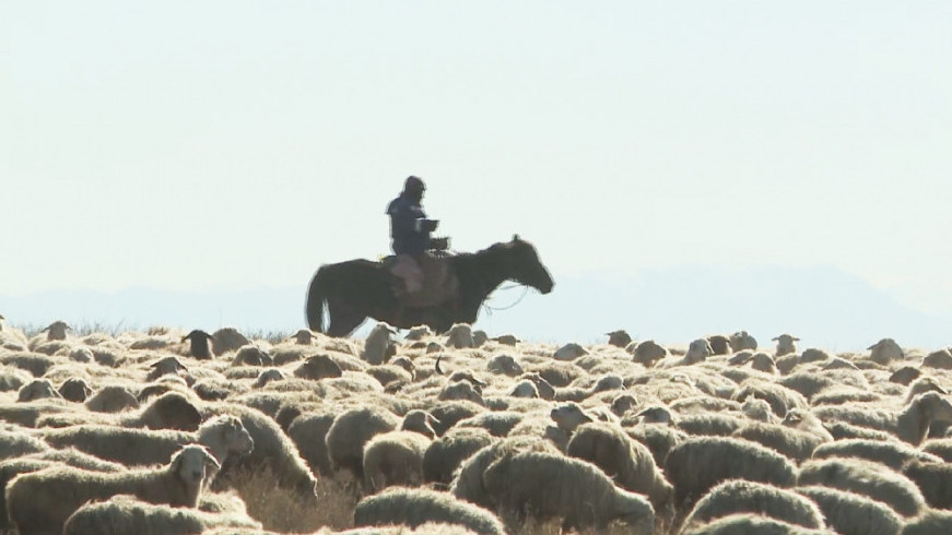 بولمىسى بولەك ۆوۆا
