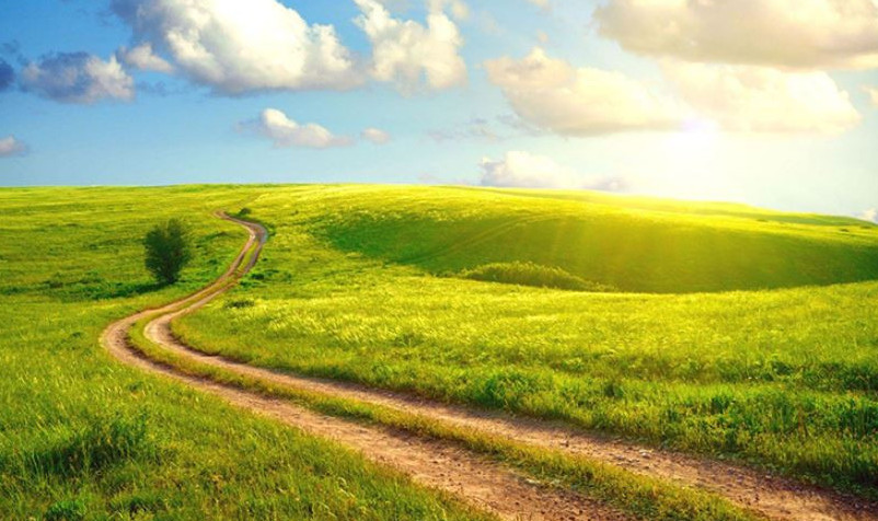 انانىڭ جىلۋى