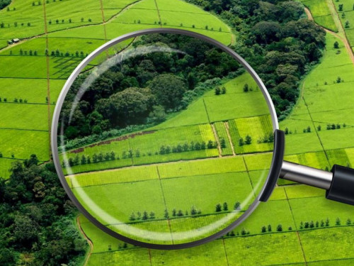 پايدالانىلمايتىن جەرلەر مەملەكەتكە قايتارىلادى – اشم