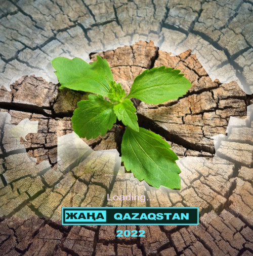 اۋقىمدى دەموكراتيالىق ءۇردىس