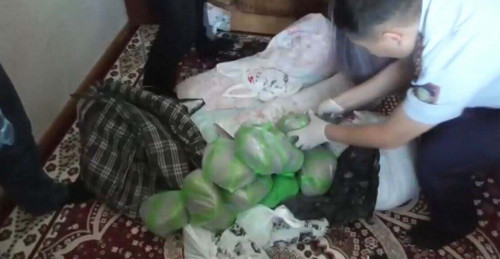 شىمكەنت تۇرعىنىنان 22 كەلى ماريحۋانا تاركىلەندى