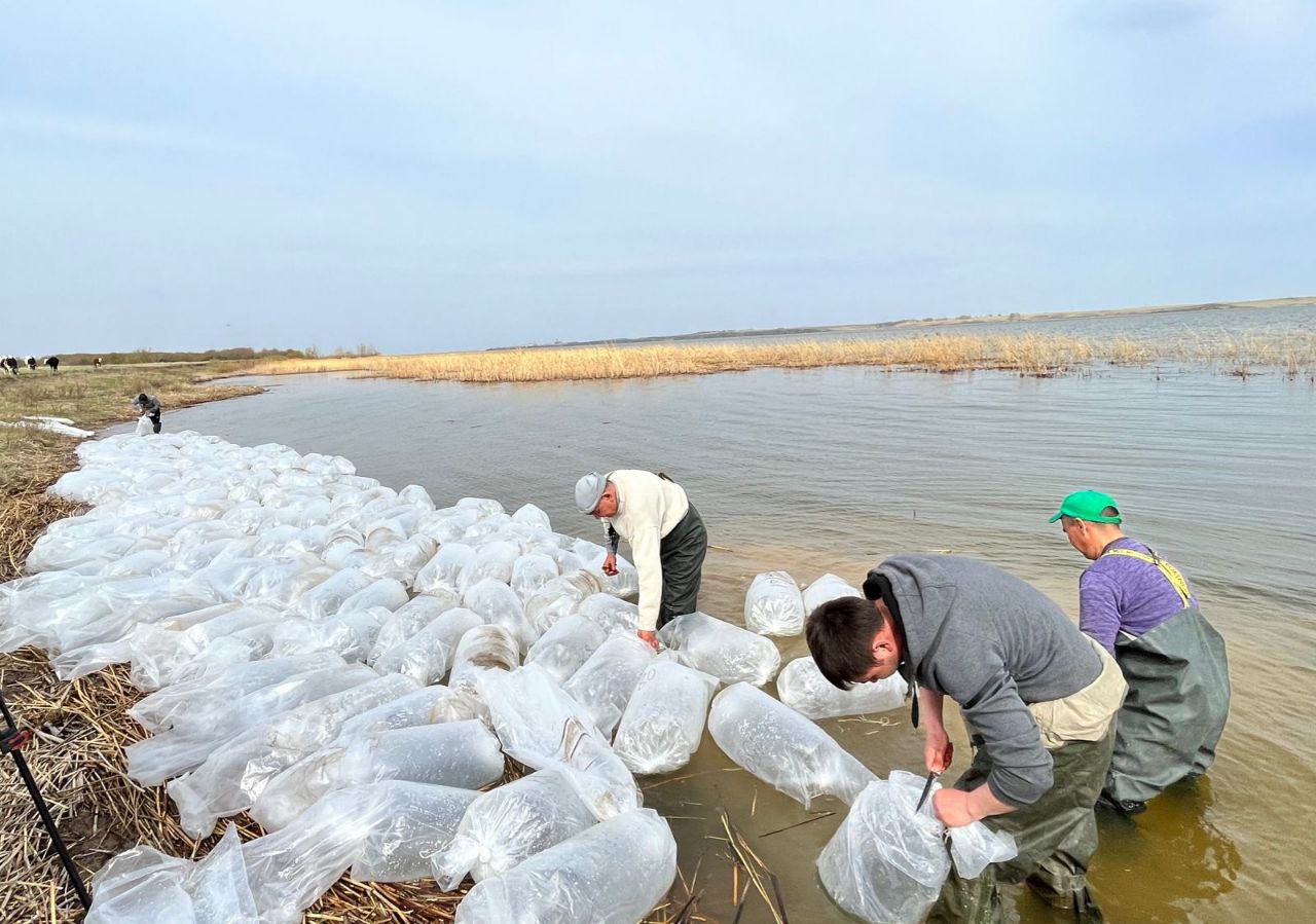 سقو-دا سۋ قويمالارىنا اقساحا تۇقىمداس بالىق تۇرلەرىنىڭ دەرناسىلى جىبەرىلدى