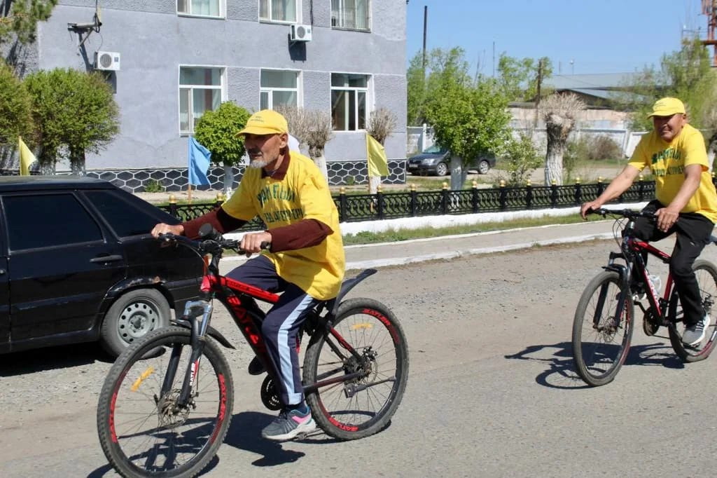 ارداگەرلەر ۆەلوشەرۋى