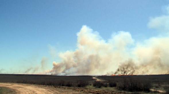 شقو-دا دالا وتى ءورشىپ تۇر