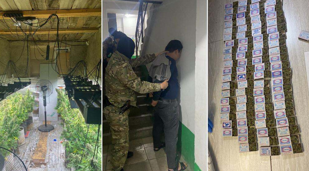 اقمولا وبلىسىندا جاسىرىن ەسىرتكى زەرتحاناسى جويىلدى