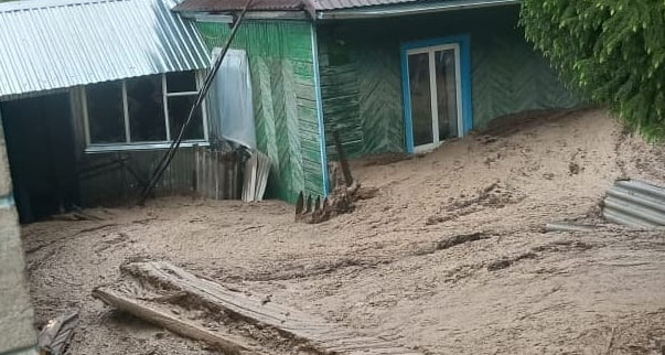 تەكەلىدەگى لاي كوشكىنىنەن زارداپ شەككەندەرگە ءۇي بەرىلەدى