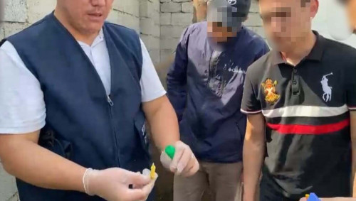 تۇركىستان وبلىسىندا الەۋمەتتىك جەلى ارقىلى ەسىرتكى ساتقان ادام ۇستالدى