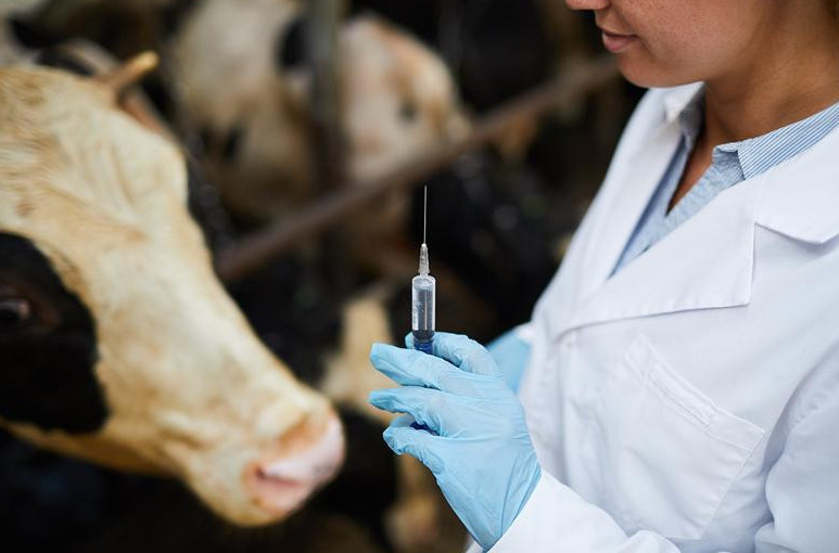 ۆەتەرينارلىق قىزمەت كورسەتۋ ساپاسىن ارتتىرۋ قاجەت - مينيستر