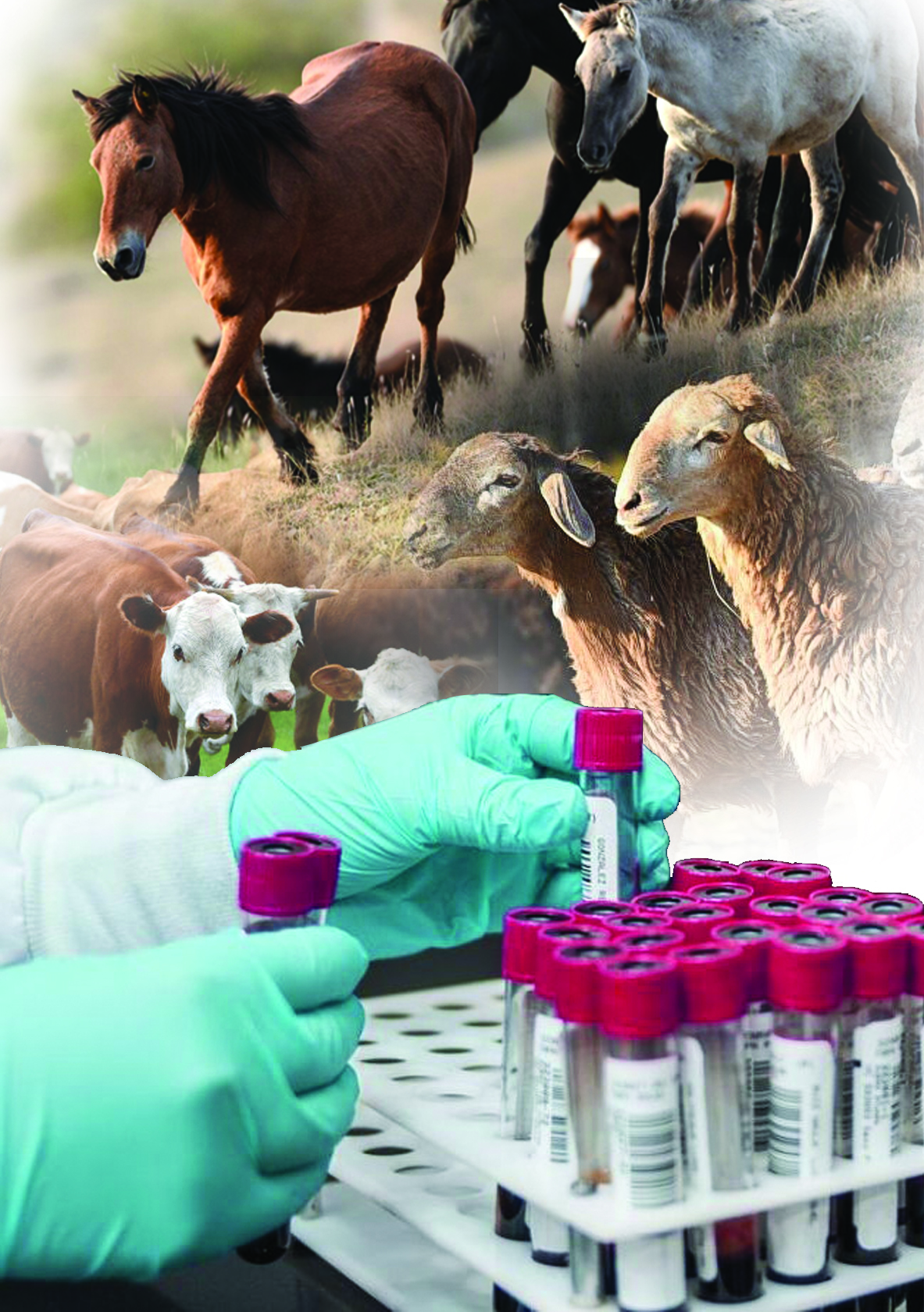 جۇگەن ۇستاپ قالماساق جارار ەدى...