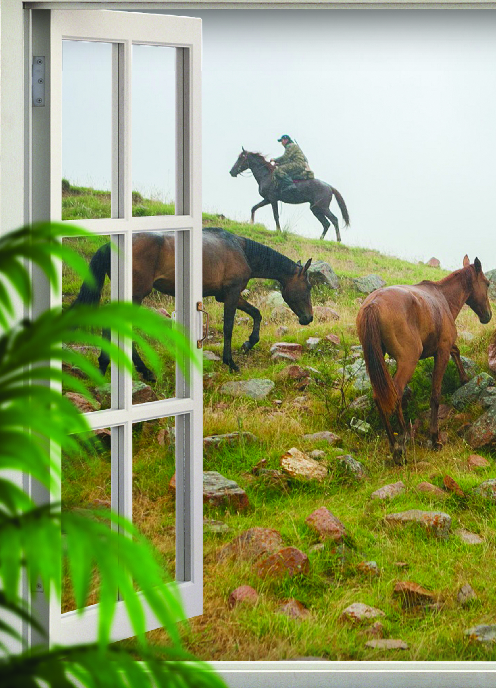 سانانى تۇرمىس بيلەسە...