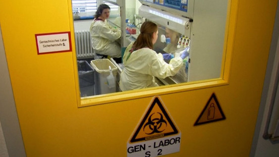 گەرمانيا مايمىلشەشەك اۋرۋىنا بايلانىستى كارانتين جاريالايدى