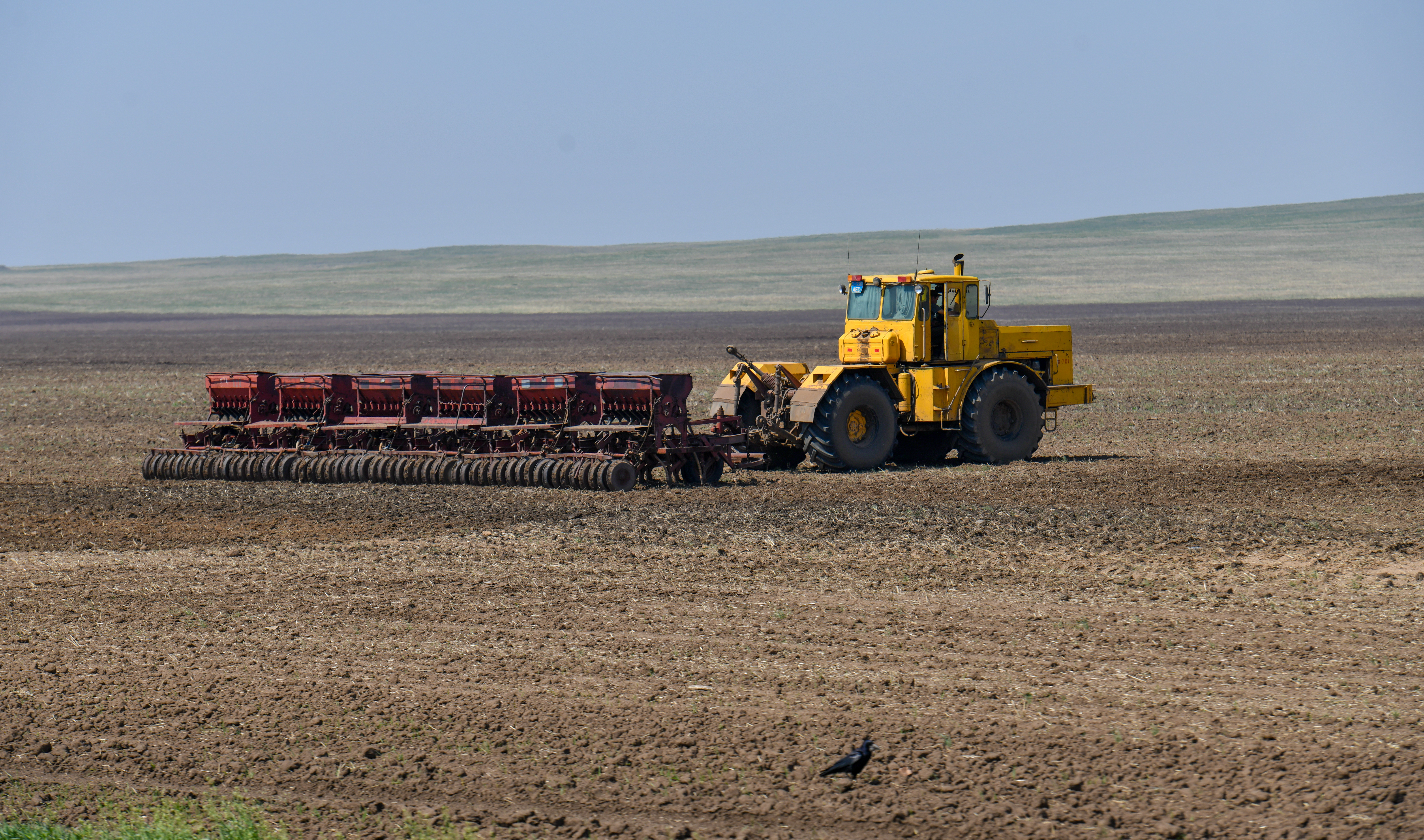 دالا توسىندەگى ءدۇبىر