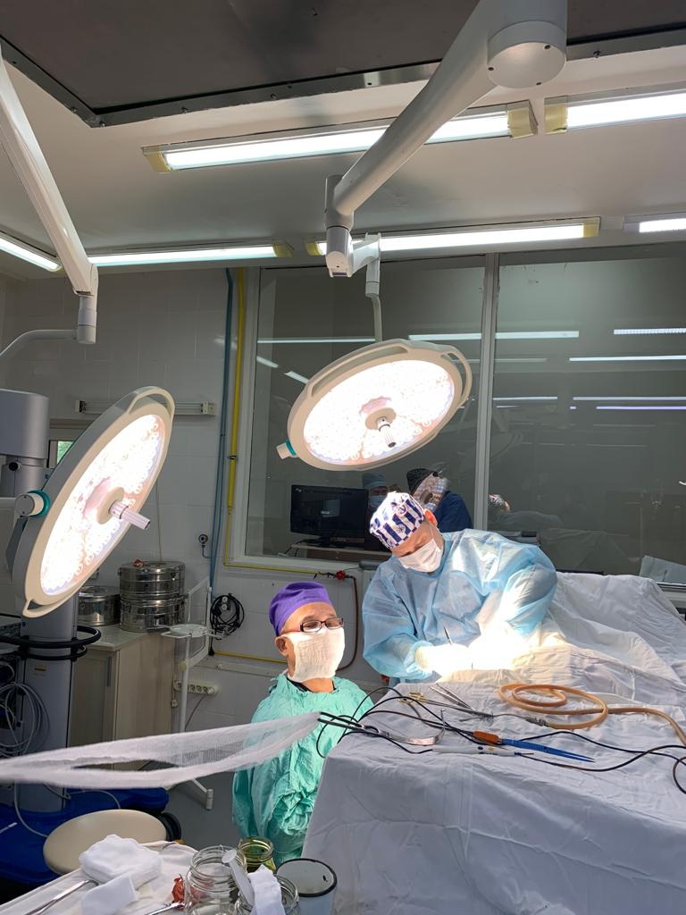 ادام ومىرىنە ارا تۇسكەن حيرۋرگتەر