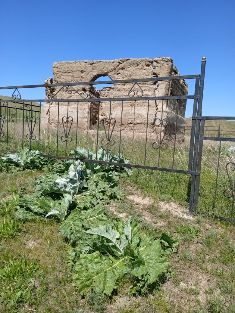 «قىزىل قىرعىن بولادى, باي بايعۇسقا اينالادى»