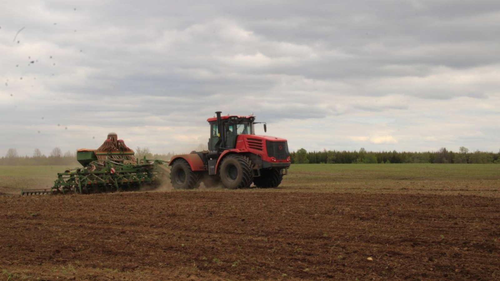 ديقانداردىڭ تەحنيكاسى ساقاداي ساي