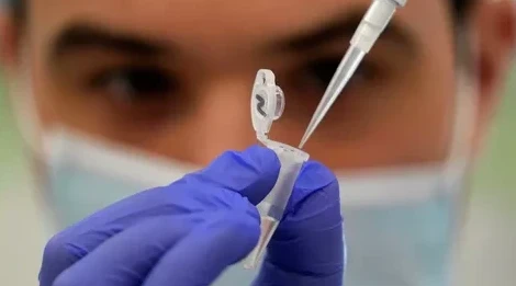 بەلگيادا مايمىل شەشەگىنىڭ 6 دەرەگى تىركەلدى