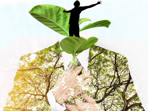 ادام كاپيتالى – باستى قۇندىلىق