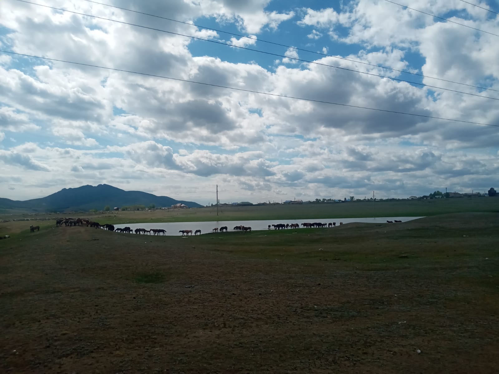 جايىلىمعا تالاسىپ, جىلقى اتىپ...