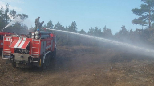 باياناۋىل ۇلتتىق پاركى ورتەنىپ جاتىر