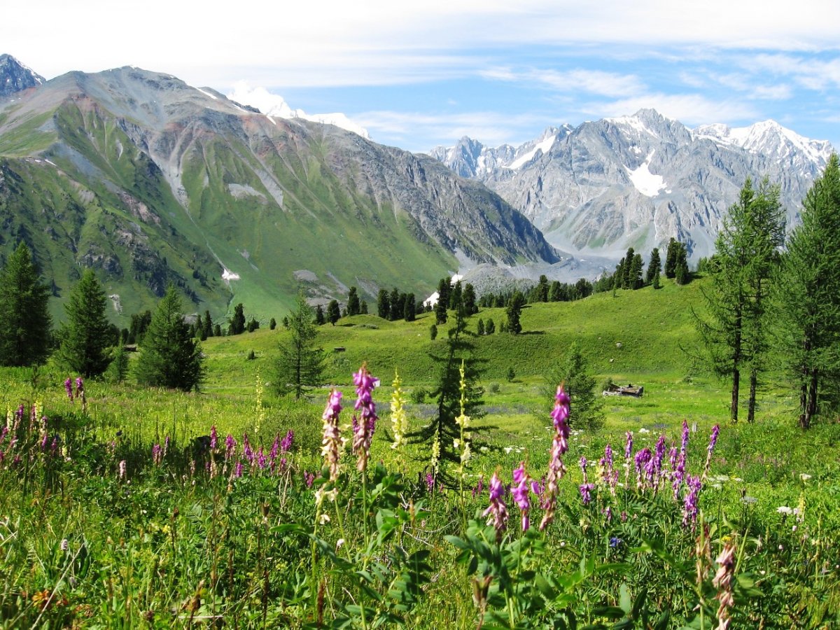 جاڭا تابيعي اۋماقتار قۇرىلادى