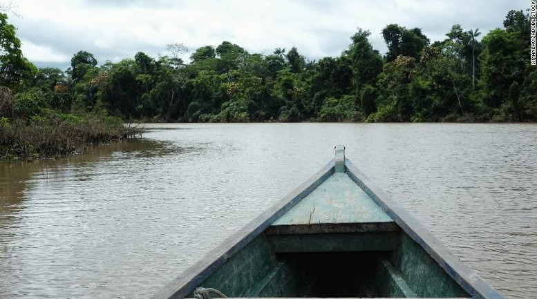 بريتاندىق جۋرناليست پەن ساراپشى امازونكادا جوعالىپ كەتتى