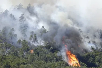 يسپانيادا ورمان ورتەندى