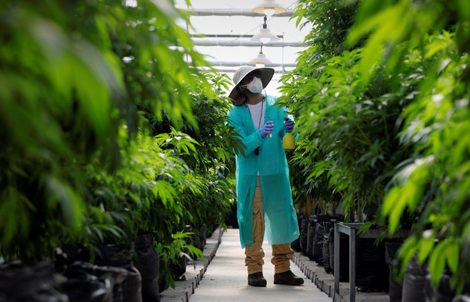 تايلاندتا تۇرمەدە وتىرعان ءۇش مىڭنان اسا ادامعا راقىمشىلىق جاسالدى