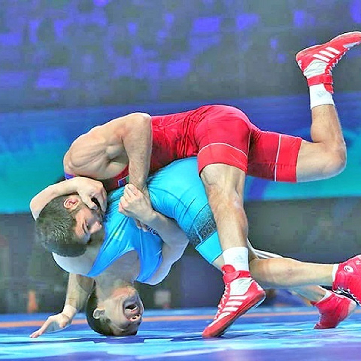 كۇشتىلەردىڭ قاتارىنا قوسىلا المادىق