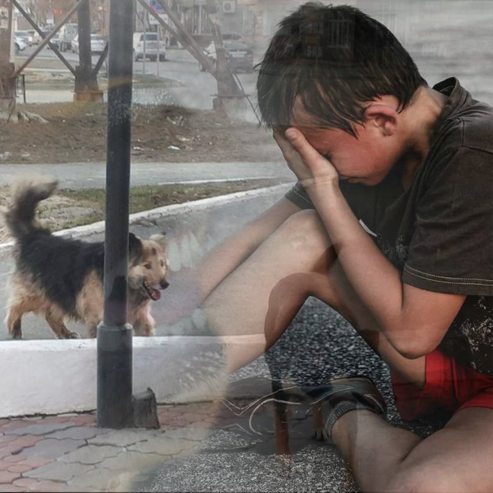 ون ەكى جاستاعى بالانى يت تالاپ, جازىم ەتتى