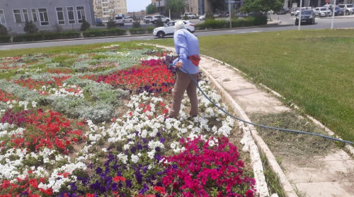 اقتاۋدا كوگالداندىرۋ جۇمىستارى قالاي جۇرگىزىلەدى