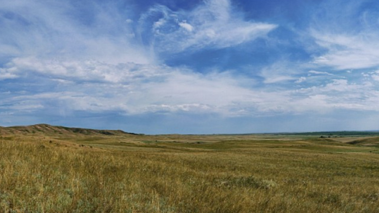 جايىلىم حالىققا قايتارىلىپ جاتىر