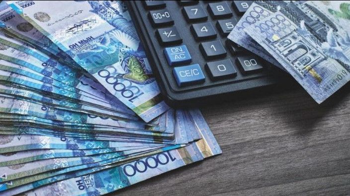 سەناتور بيۋدجەت قارجىسىن پايدالانۋعا قاتىستى ماسەلەلەردى اتادى