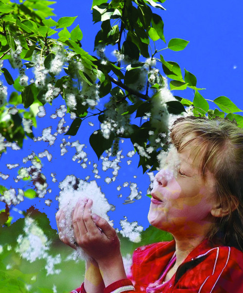 كوكتەمگى اللەرگيادان قورعانۋ جولدارىن بىلە ءجۇرىڭىز