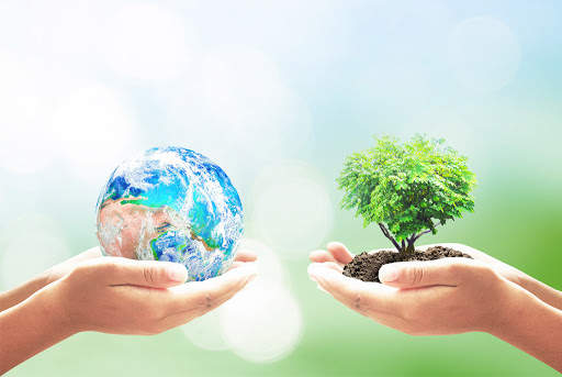 ەكولوگيالىق مادەنيەت – تابيعاتتى قورعاۋ قۇندىلىقتارىنىڭ نەگىزى