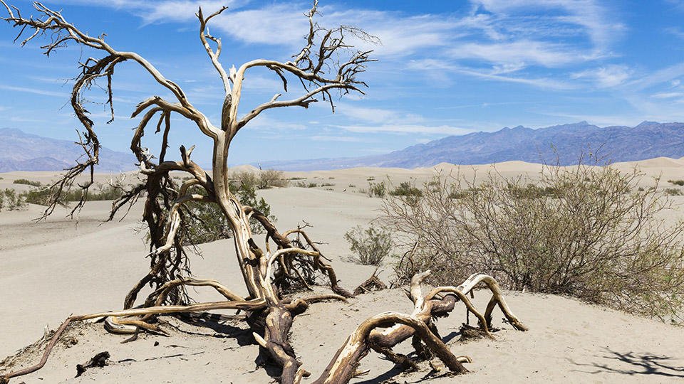 اپتاپتىڭ ازابىن تارتقان ادامزات