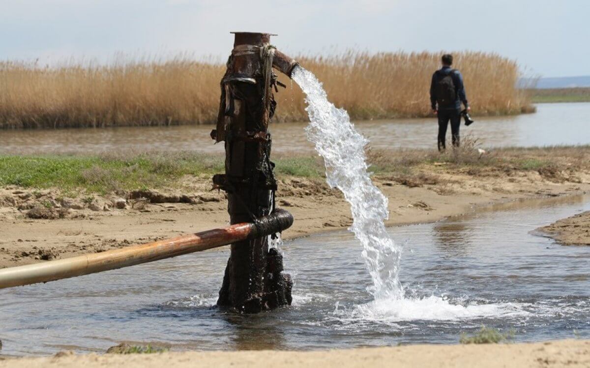 كوكجيدەگە قولداۋ قاجەت