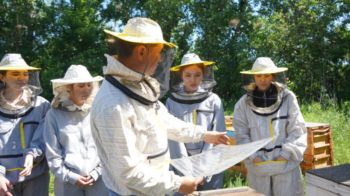 ورالدا ستۋدەنتتەر ارا باعادى