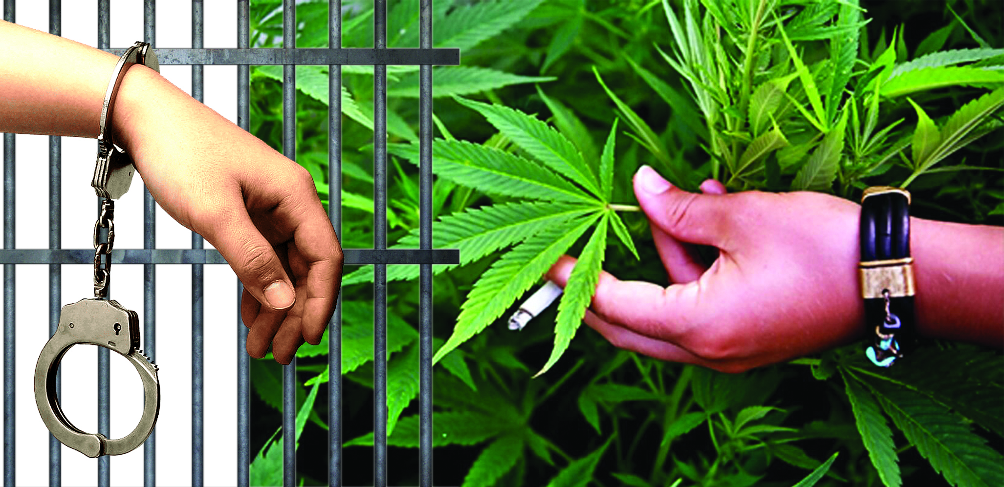 «قاراسورا» كەزىندە انىقتالعان قىلمىستار