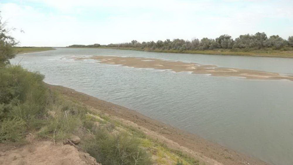 داريا دەڭگەيى بيىل دا تومەن