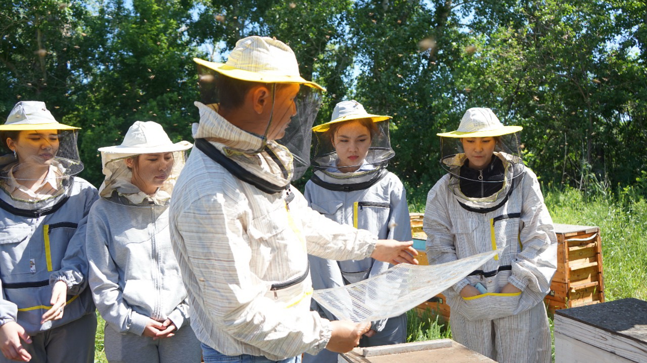 ستۋدەنتتەر ارا باعىپ ءجۇر