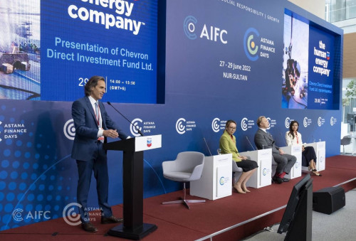 ەل ەكونوميكاسىنا ۇلەس قوساتىن ينۆەستور كوبەيدى