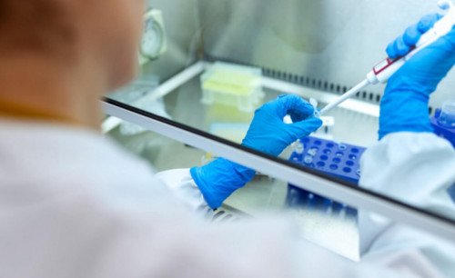 سقو-دا 13 ادامنان بالىقتان جۇعاتىن ينفەكتسيا انىقتالدى