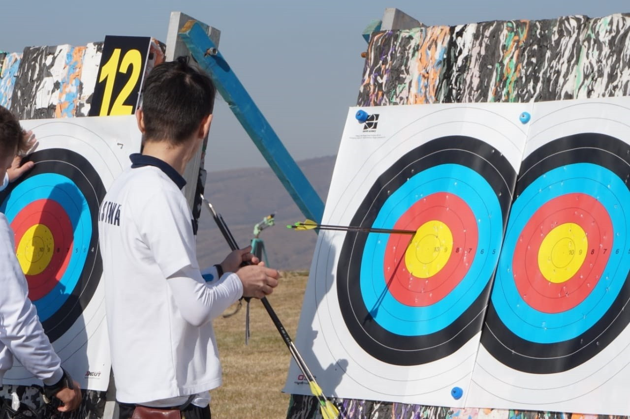 تۇركىستانداعى تارتىس