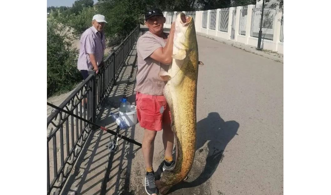 جايىقتىڭ الىپ جايىنى