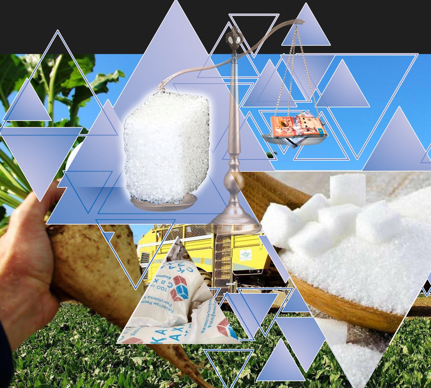 قانت نارىعىنا رەفورما قاجەت