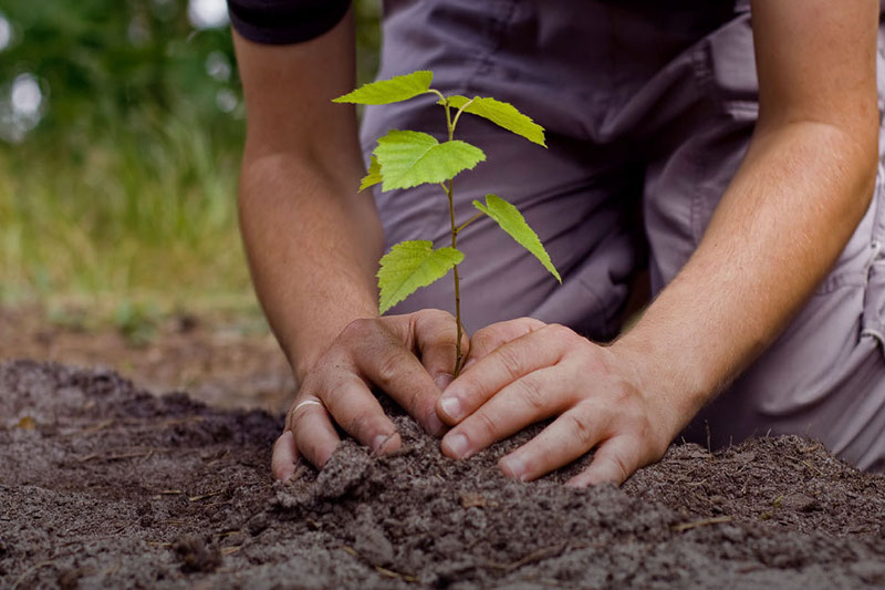 تاسقالانىڭ جاسىل بەلدەۋى