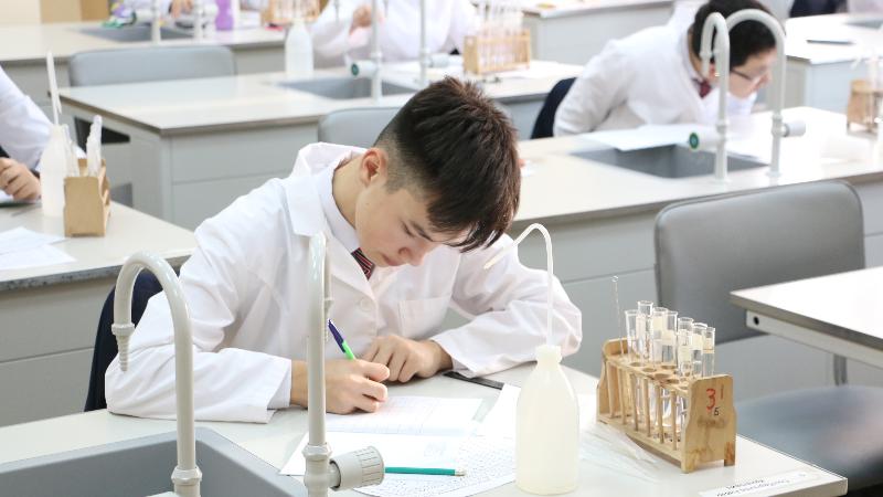 وي جارىستىرعان وقۋشىلار ولجاسى