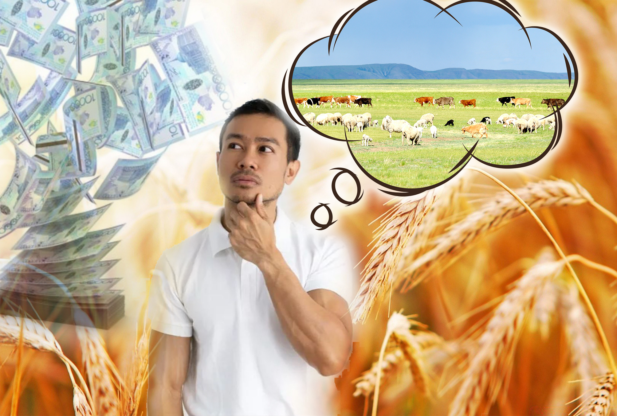 قاعاز جۇزىندەگى مالعا سۋبسيديا العان